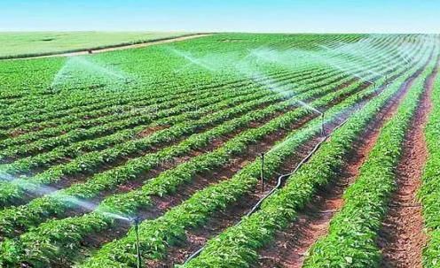 大鸡吧打飞机肏穴网站农田高 效节水灌溉